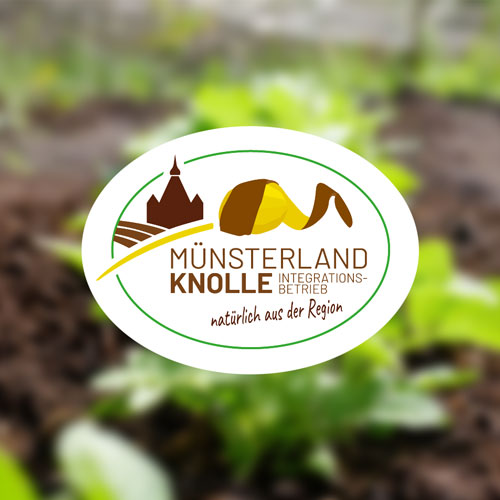 Münsterland Knolle - Kartoffeln aus der Region